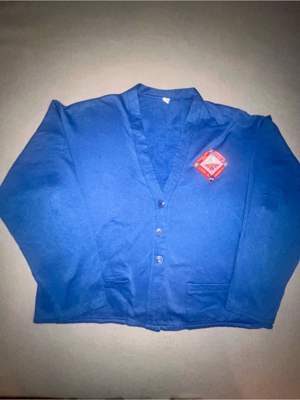 Minnesota Quilters Inc Stars In The Harbor Duluth 2005 Cardigan Sweater Blue L